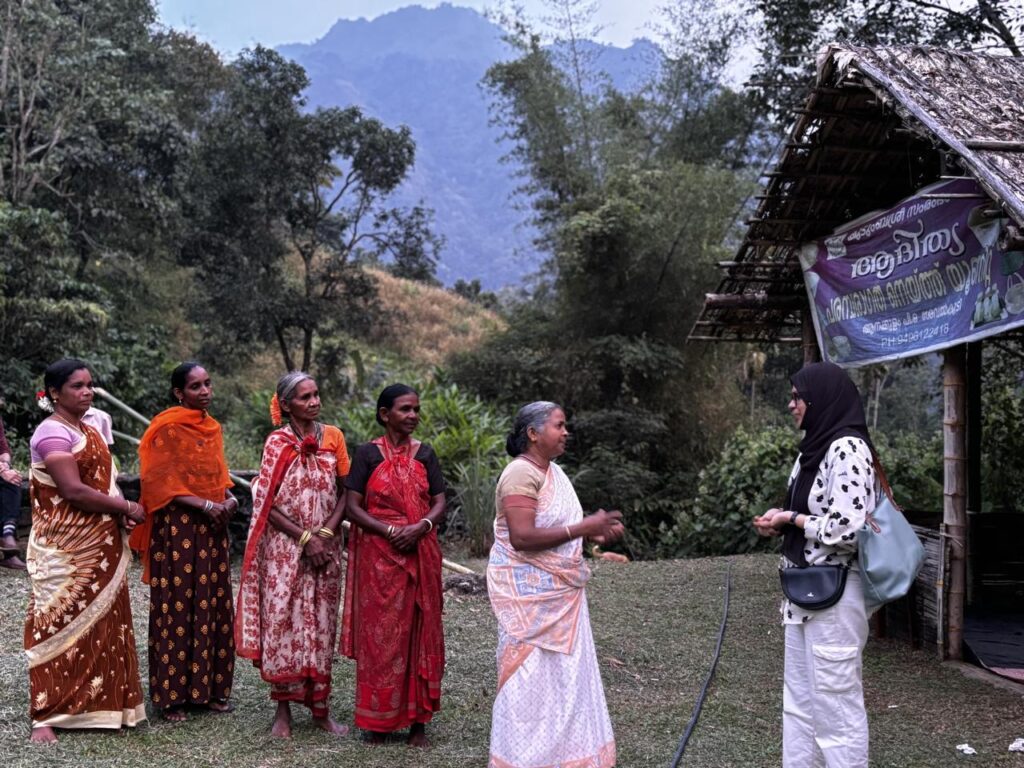 Heritage & Cultural Studies: Deep-Dive into Traditions